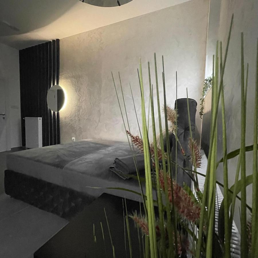 Temerin Tepic Garni Hotel מראה חיצוני תמונה